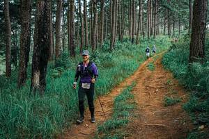 BIB: 
                            <button type="button" onclick="openModal(25659392)" class="btn btn-primary btn-sm float-right btn-popup" data-toggle="modal" data-target=".modal-high-quality">
                        <i class="fas fa-shopping-cart"></i> Add to Cart
                    </button>
                                            <button type="button" onclick="isThisMe(25659392, true)" class="btn btn-success btn-sm float-right btn-popup btn-isme hidden" data-toggle="tooltip" data-placement="bottom" title="นี่คือรูปของคุณใช่ไหม คลิกที่นี่เพื่อเอาเข้าอัลบั้ม">
                        <i class="fas fa-plus"></i> Add to album
                    </button>
                    <button type="button" onclick="isThisMe(25659392, false)" class="btn btn-warning btn-sm float-right btn-popup btn-isnotme hidden">
                        <i class="fas fa-ban"></i> Remove from album
                    </button>